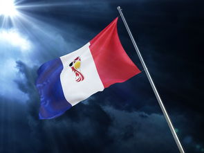 开云体育h5-瑞典队迎战德国，胜负难料的激烈比赛，瑞典队比赛结果